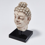 Indus Valley Head of Buddha // 4th - 5th Century AD