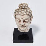 Indus Valley Head of Buddha // 4th - 5th Century AD