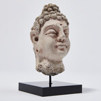 Indus Valley Head of Buddha // 4th - 5th Century AD
