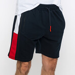 Milo Shorts // Navy (XL)