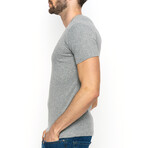 Tyler T-Shirt // Gray Melange (XS)