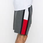 Dillon Shorts // Anthracite (XS)