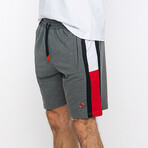 Dillon Shorts // Anthracite (S)