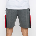 Dillon Shorts // Anthracite (S)