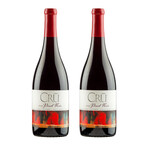 2017 Sierra Madre Vineyard Pinot Noir // Set of 2 // 750 ml Each