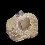 Pyrite Cubes in Matrix