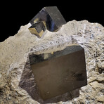 Pyrite Cubes in Matrix