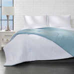 Reversible Microfiber Polka Dot Comforter Set // Aqua (Twin)