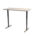 Yaasa Adjustable Desk Pro // Dark (52"W x 26"D)