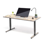 Yaasa Adjustable Desk Pro // Dark (60"W x 29"D)