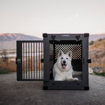 Stationary Dog Crate // Black (34" Length)