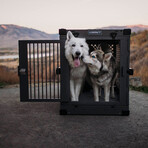 Collapsible Dog Crate // Black (40" Length)