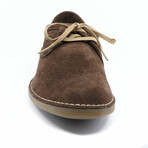 Alex-3 Shoe // Expresso (40)