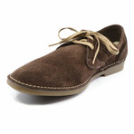 Alex-3 Shoe // Expresso (40)