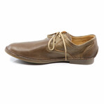 Alex-6 Shoe // Mocca (44)