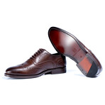 Bolonia Oxfords // Brown (Euro: 45)