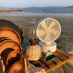 Honeycomb Faced Oscillating Desk Fan // White