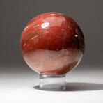 Petrified Wood Sphere + Acrylic Display Stand