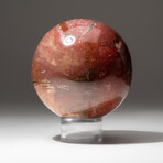 Petrified Wood Sphere + Acrylic Display Stand