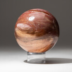 Petrified Wood Sphere + Acrylic Display Stand