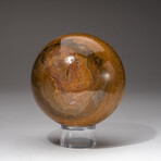 Genuine Polished Ocean Jasper Sphere + Acrylic Display Stand