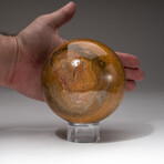 Genuine Polished Ocean Jasper Sphere + Acrylic Display Stand