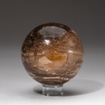 Genuine Polished Brown Petrified Wood Sphere + Acrylic Display Stand