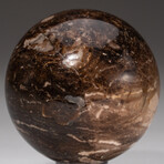 Genuine Polished Brown Petrified Wood Sphere + Acrylic Display Stand