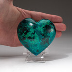 Genuine Polished Gemmy Chrysocolla Heart + Acrylic Display Stand // V2