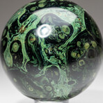 Genuine Polished Kambaba Jasper Sphere + Acrylic Display Stand