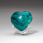 Genuine Polished Gemmy Chrysocolla Heart + Acrylic Display Stand // V1