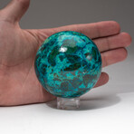 Genuine Polished Gemmy Chrysocolla Sphere + Acrylic Display Stand // V1