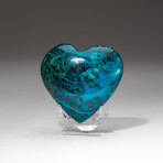 Genuine Polished Gemmy Chrysocolla Heart + Acrylic Display Stand // V1