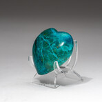 Genuine Polished Gemmy Chrysocolla Heart + Acrylic Display Stand // V1