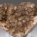 Genuine Quartz Crystal Cluster Heart + Acrylic Display Stand // V1