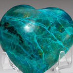 Genuine Polished Gemmy Chrysocolla Heart + Acrylic Display Stand // V1