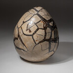 Genuine Natural Septarian Druzy Egg // V1