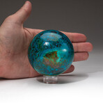 Genuine Polished Gemmy Chrysocolla Sphere + Acrylic Display Stand // V3