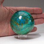 Genuine Polished Gemmy Chrysocolla Sphere + Acrylic Display Stand // V2