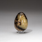 Genuine Polished Septarian Egg + Acrylic Display Stand