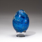 Genuine Polished Lapis Lazuli Egg With Acrylic Display Stand
