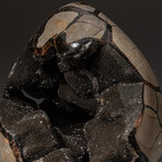 Genuine Natural Septarian Druzy Egg // V1
