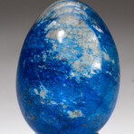Genuine Polished Lapis Lazuli Egg With Acrylic Display Stand