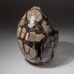 Genuine Natural Septarian Druzy Egg // V1