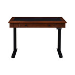 Danee Height Adjustable Desk // 48"W