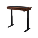 Danee Height Adjustable Desk // 48"W