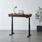 Danee Height Adjustable Desk // 60"W