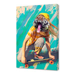 Skate Reggae Sun Ska Tiger Pepe Psyche (12"H x 8"W x 0.2"D)