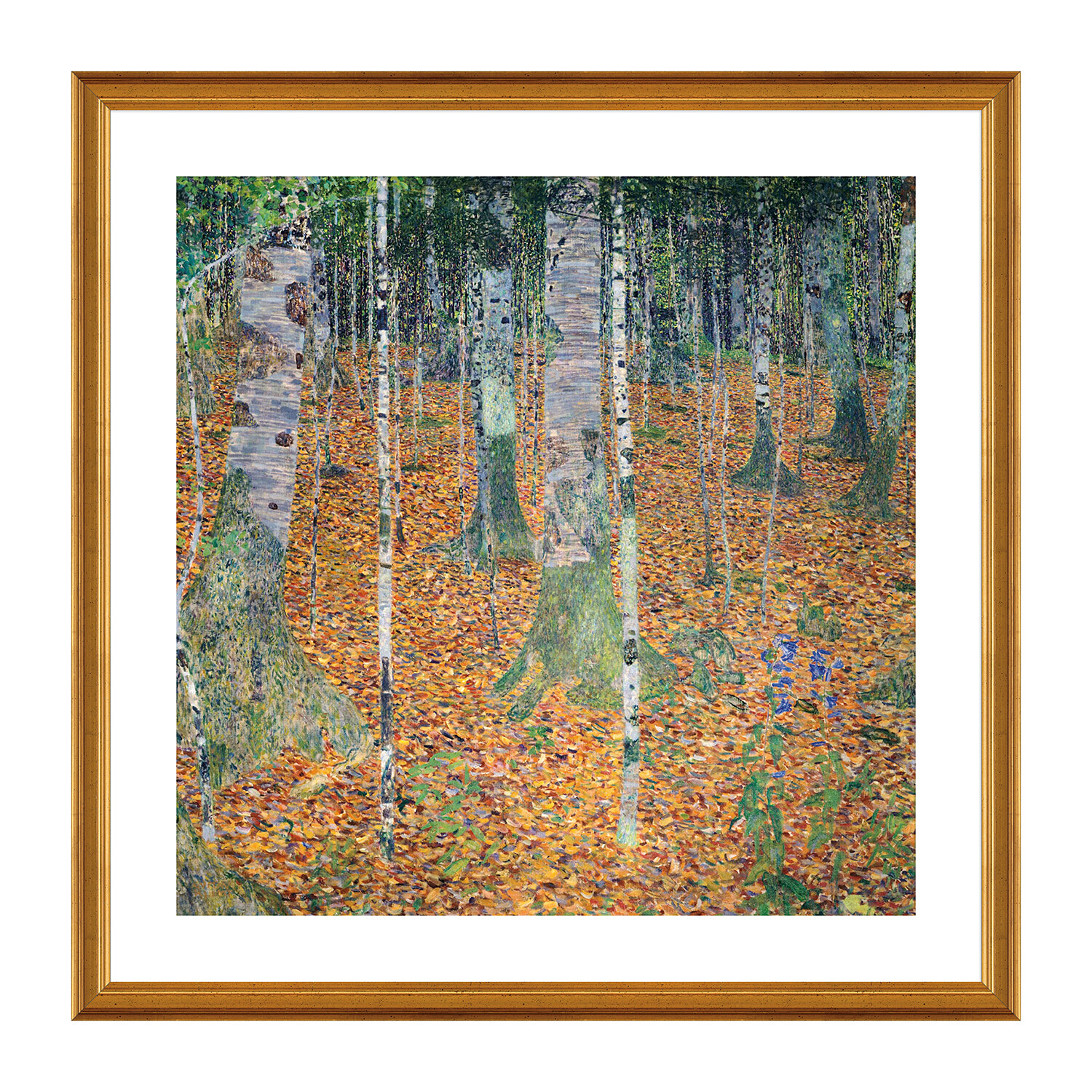 Birch Forest, 1903 (Black Frame) - Gustav Klimt - Touch of Modern