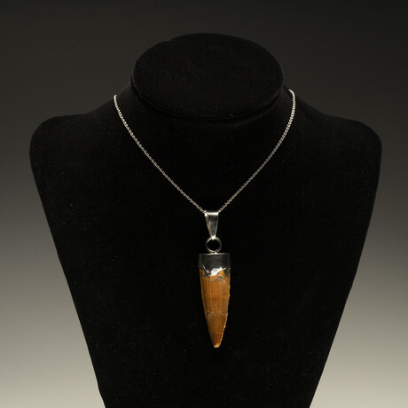 Spinosaurus Tooth Pendant // Ver. 2